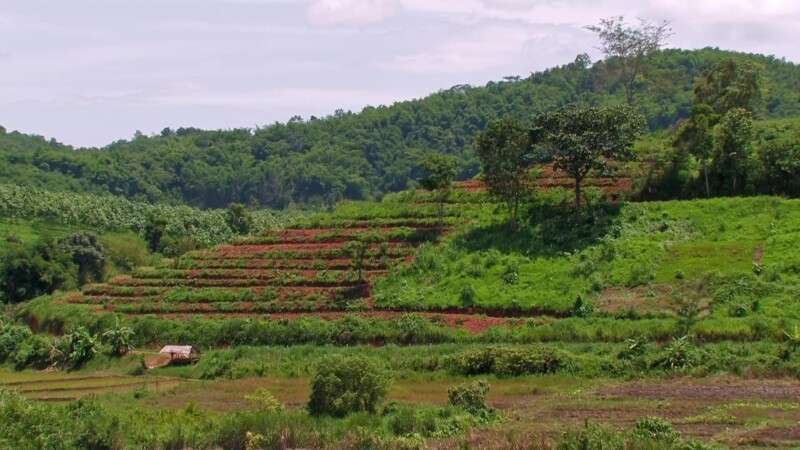 Scenic Hills in Northern Thailand — Thailand, hills, fields, scenic