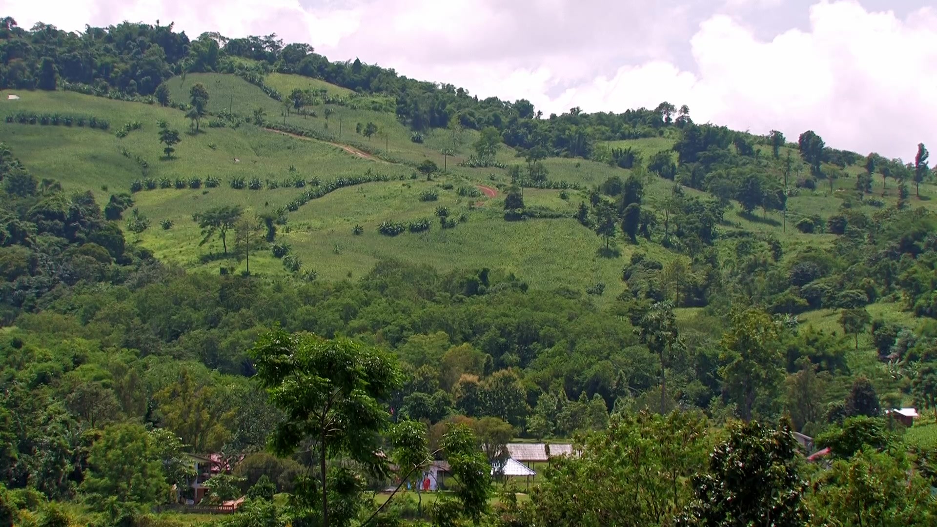 Scenic Hills in Northern Thailand
