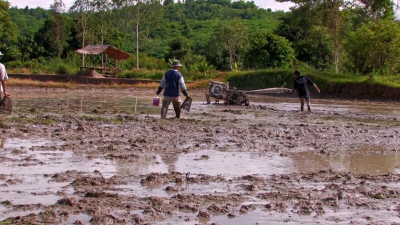 Preparing the Ricefield — Man uses unique plowing machine to prepare a field in Thailand for planting riceKeywords: Thailand, field, plowing, rice, man, machine