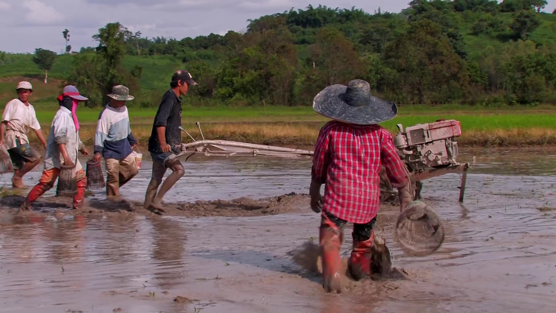 Preparing the Ricefield