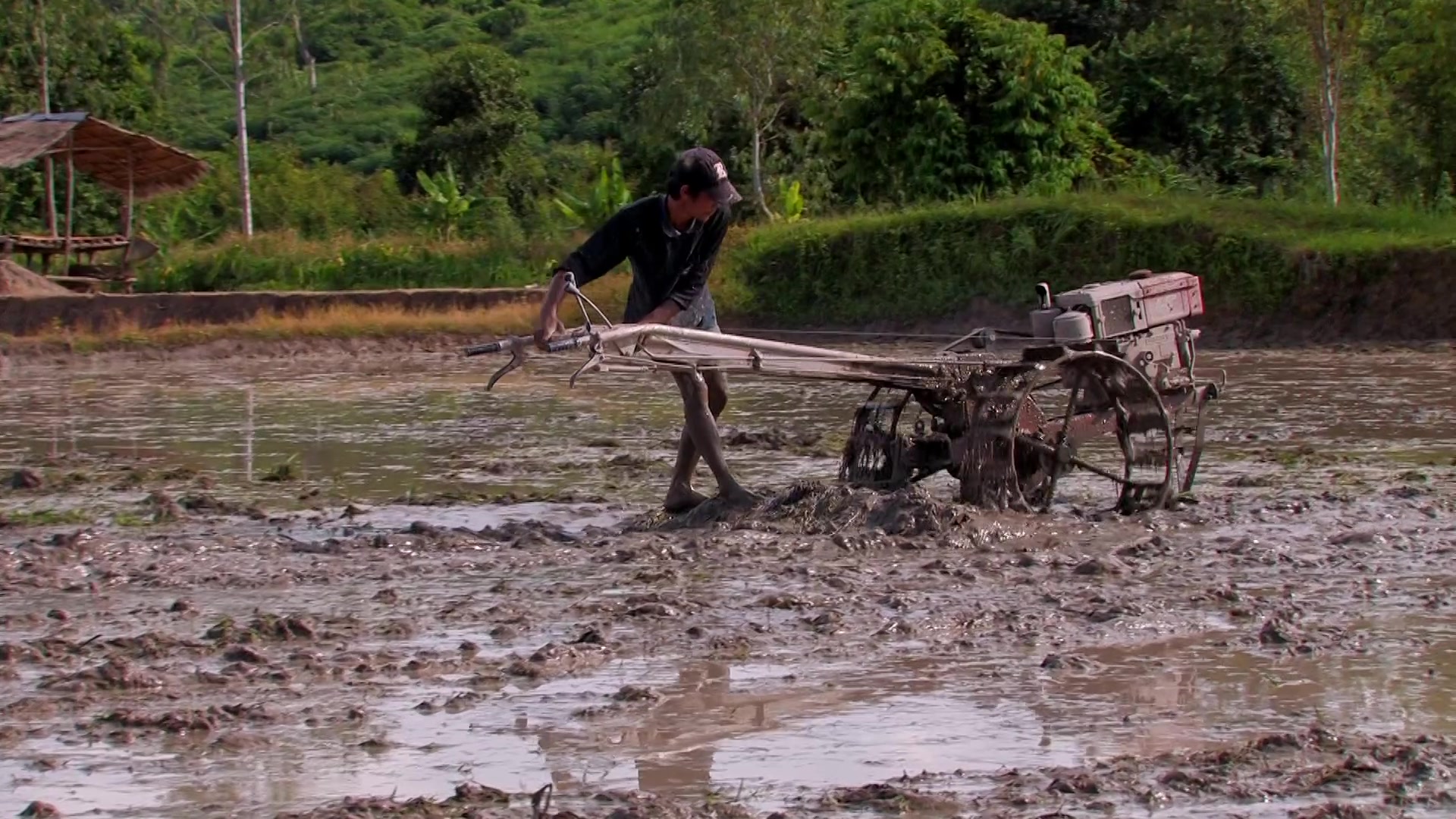 Preparing the Ricefield