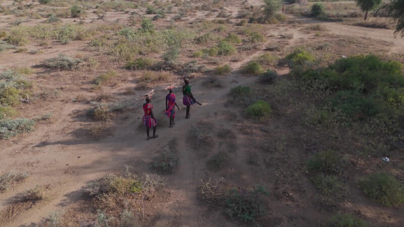 Collecting firewood — Girls walk with firewood on headKeywords: Kapoeta, Eastern Equatorial Guinea State, South Sudan, Africa, Rural, Remote, Pastoralists, D...