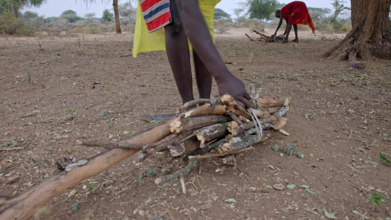 Bundleing Firewood — African girls bundle firewood to carry home for cooking. — Africa, South Sudan, Rural, Remote, Pastoralists