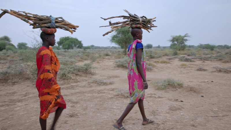 Walking with Firewood — Young African girls walk with firewood on their head as they return home to cook breakfast. — Africa, South Sudan, Rural, Remote, Pas...