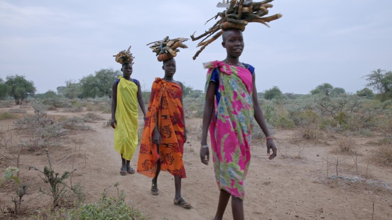 Walking with Firewood — Young African girls walk with firewood on their head as they return home to cook breakfast. — Africa, South Sudan, Rural, Remote, Pas...