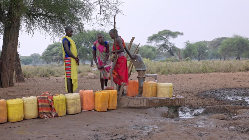 Collecting Water — Africa, South Sudan, Rural, Remote, Pastoralists