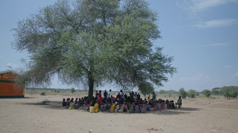 Adult Training Under a Tree — Adults learn valuable new knowledge in Healt, relationships, Agriculture and income generation. — Africa, South Sudan, Rural, R...