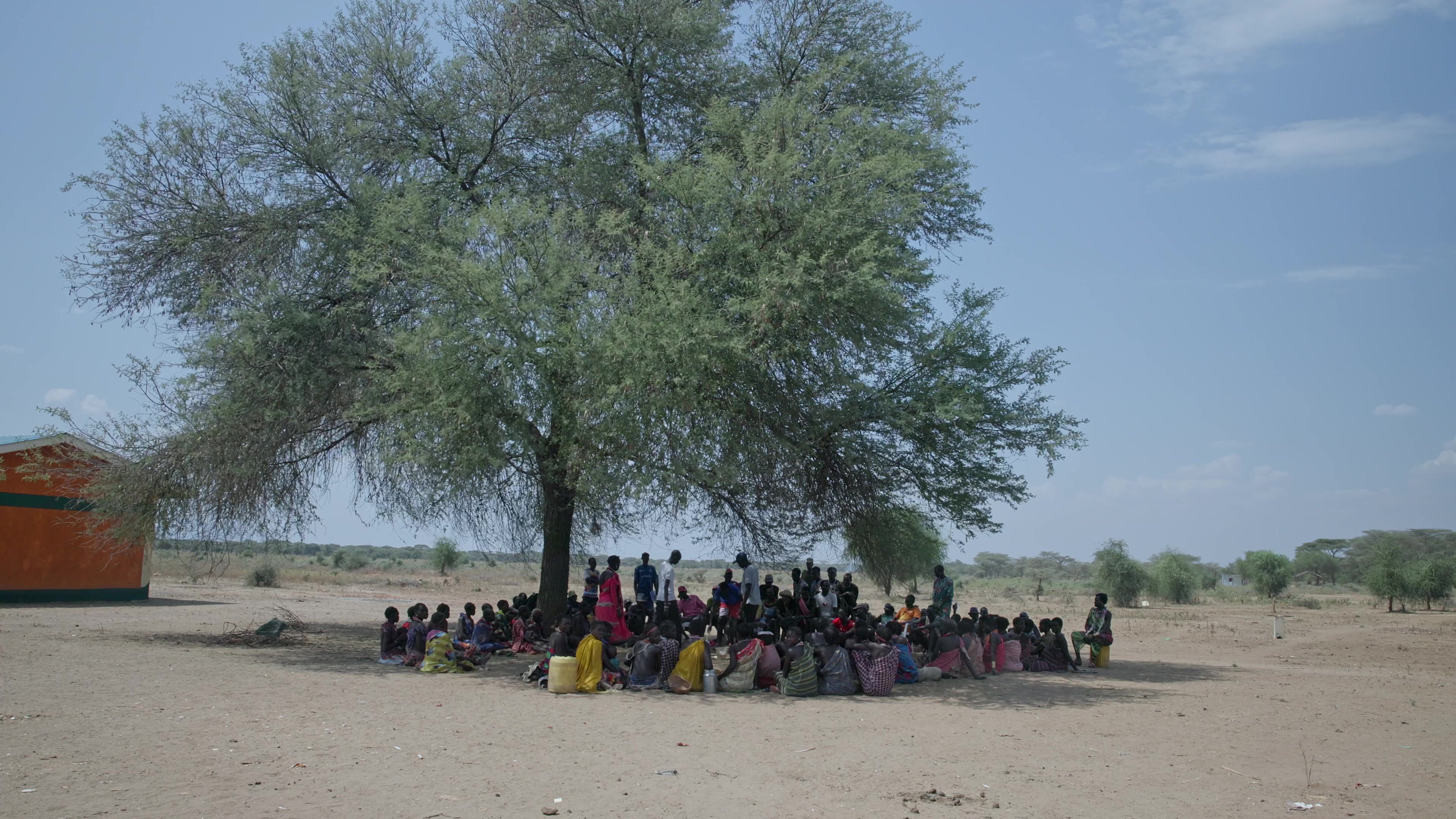 Adult Training Under a Tree