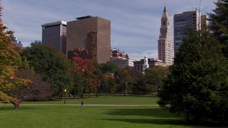Central Park in New York City — Stock Footage, USA, United States, Parks, grass