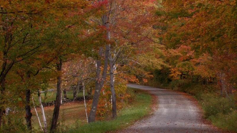 Vermont in the Fall — Country roads in the fallKeywords: Stock Footage, USA, United States, Vermont, scenic, fall colours, fall colors, New England