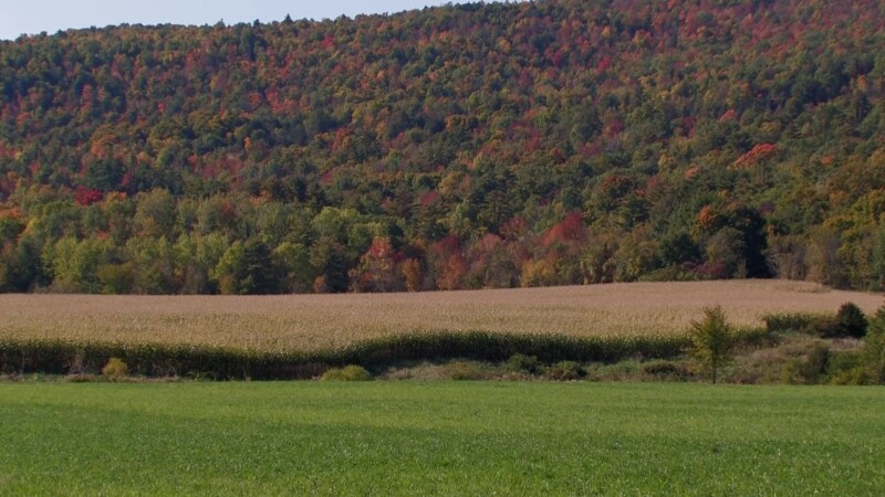 Vermont in the Fall — Fields and farms of VermontKeywords: Stock Footage, USA, United States, Vermont, New England