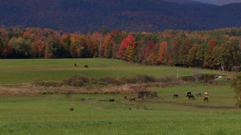 Vermont in the Fall — Fields and farms of VermontKeywords: Stock Footage, USA, United States, Vermont, New England