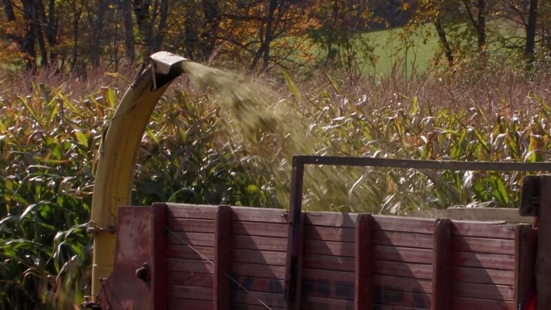 Vermont in the Fall — Fields and farms of Vermont, harvesting CornKeywords: Stock Footage, USA, United States, Vermont, New England