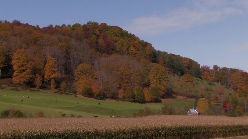 Vermont in the Fall — Fields and farms of VermontKeywords: Stock Footage, USA, United States, Vermont, New England