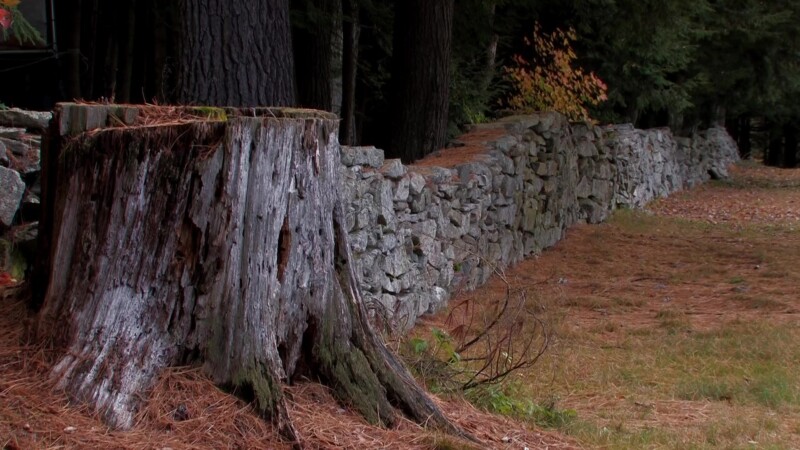 Vermont in the Fall — Tree Stump and Stone Fence in VermontKeywords: Stock Footage, USA, United States, Vermont, New England