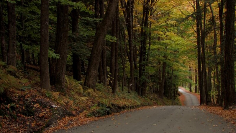 Vermont in the Fall — Country roads in the fallKeywords: Stock Footage, USA, United States, Vermont, scenic, fall colours, fall colors, New England
