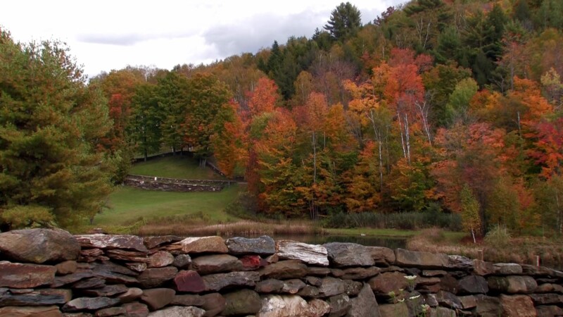 Vermont in the Fall — Stone Fence on a farm in VermontKeywords: Stock Footage, USA, United States, Vermont, New England