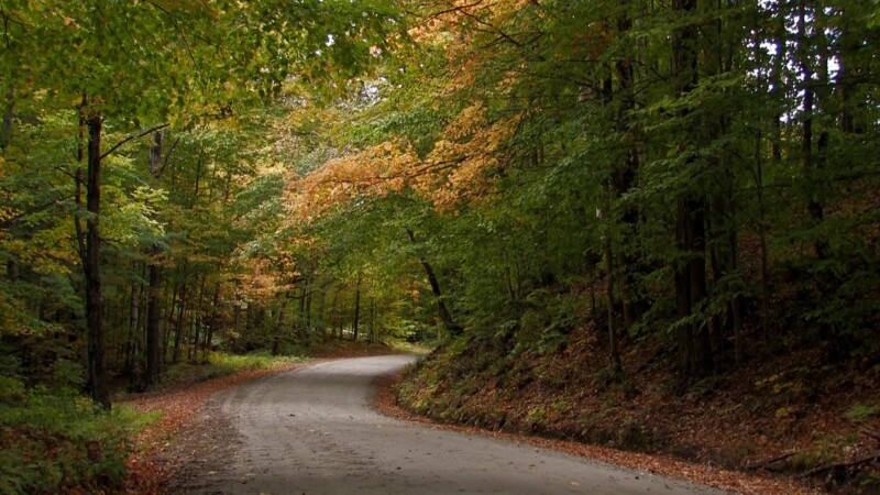 Vermont in the Fall — Country roads in the fallKeywords: Stock Footage, USA, United States, Vermont, scenic, fall colours, fall colors, New England