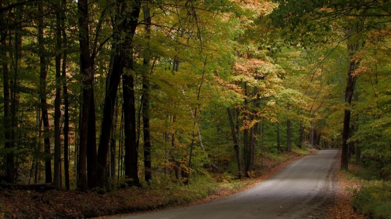 Vermont in the Fall — Country roads in the fallKeywords: Stock Footage, USA, United States, Vermont, scenic, fall colours, fall colors, New England