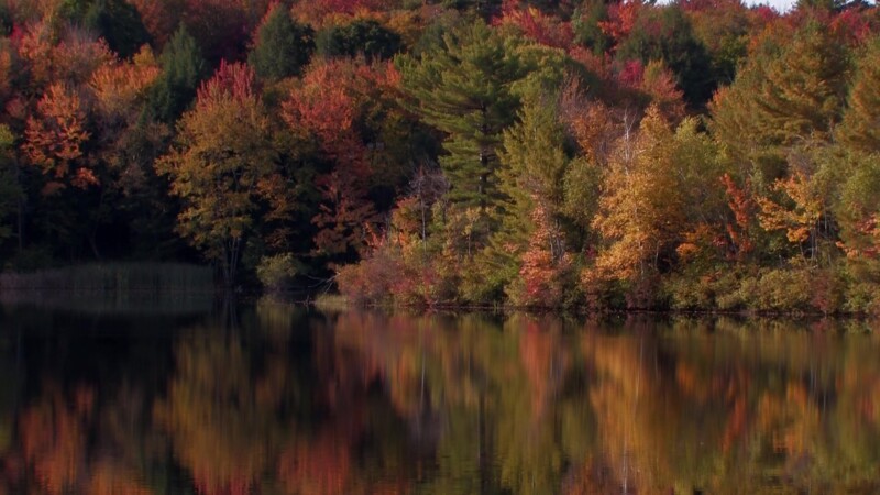 Vermont in the Fall — Fall Colours reflected in a lakeKeywords: Stock Footage, USA, United States, Vermont, New England