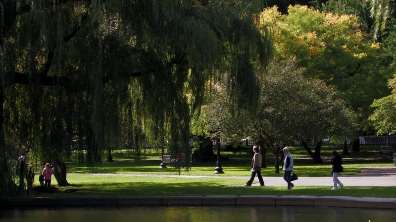 Boston Public Garden — Flags of the World at the United NationsKeywords: Stock Footage, USA, United States, New England, Boston, MA, Massachusetts