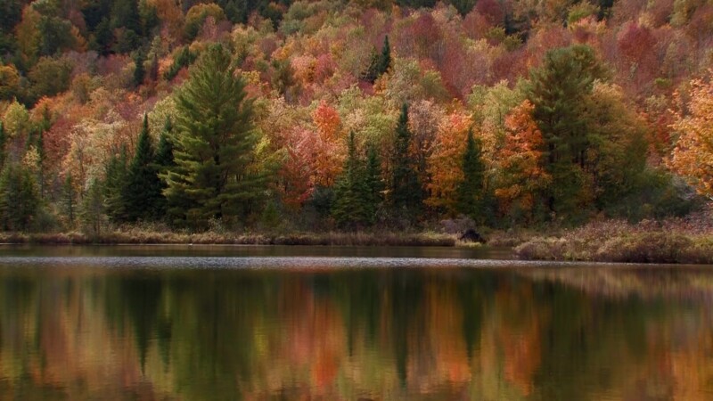 Scenic Lake in Fall — Reflections of fall leaves in the lakeKeywords: Stock Footage, USA, United States, New England
