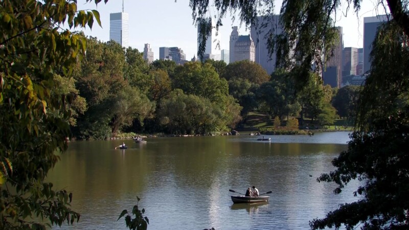 Central Park in New York City — Flags of the World at the United NationsKeywords: Stock Footage, USA, United States, New York City