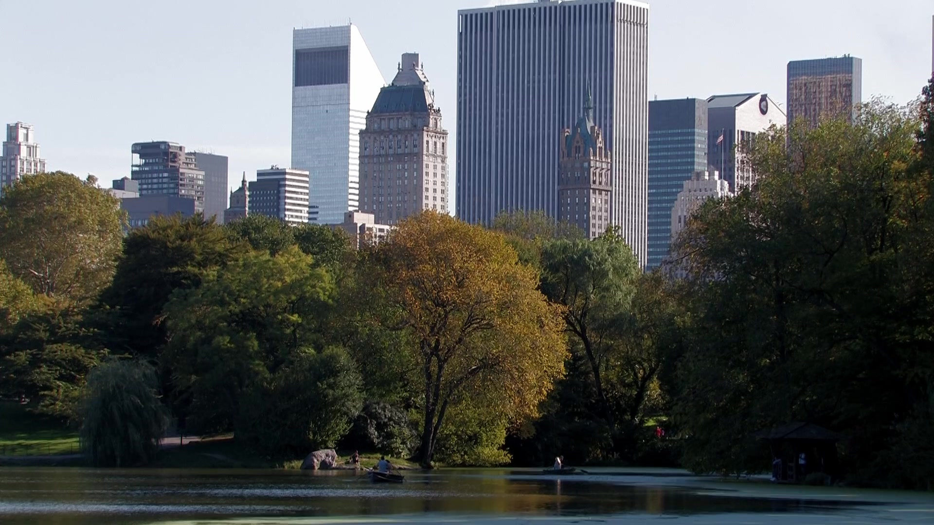 Central Park in New York City