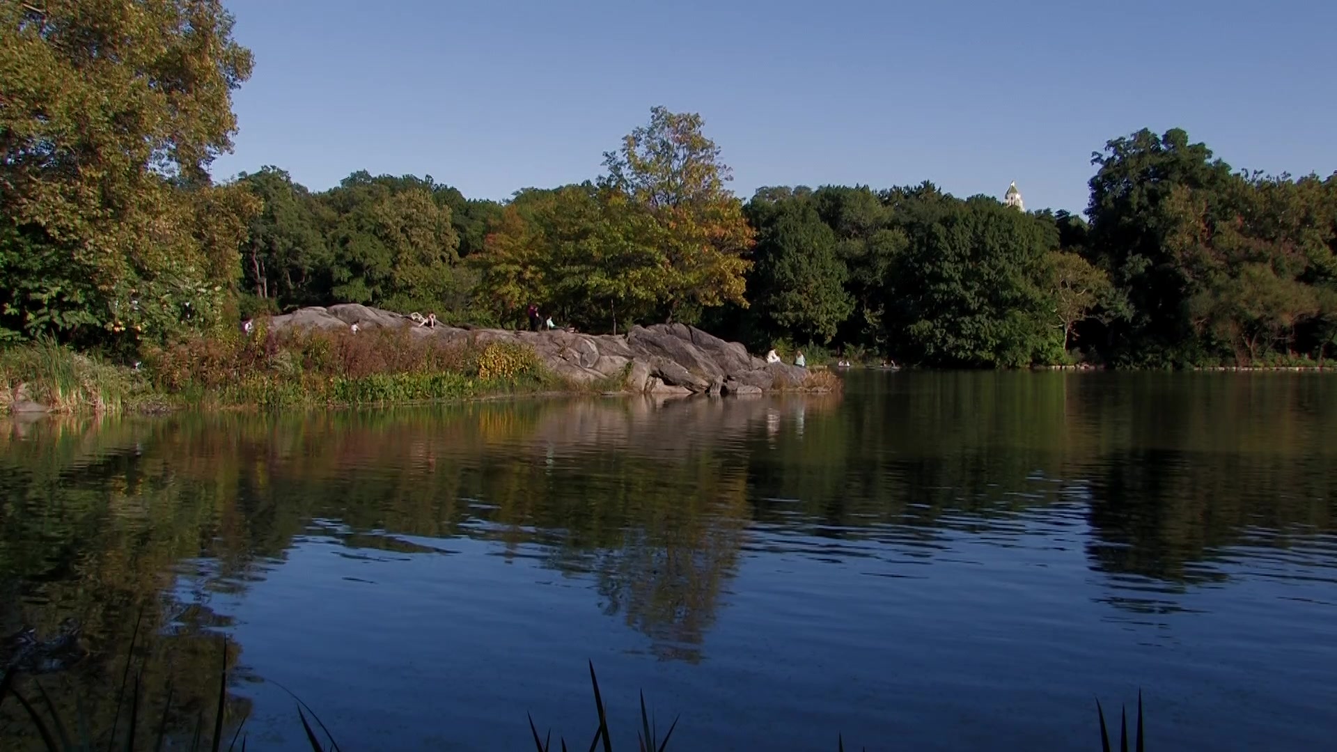 Central Park in New York City