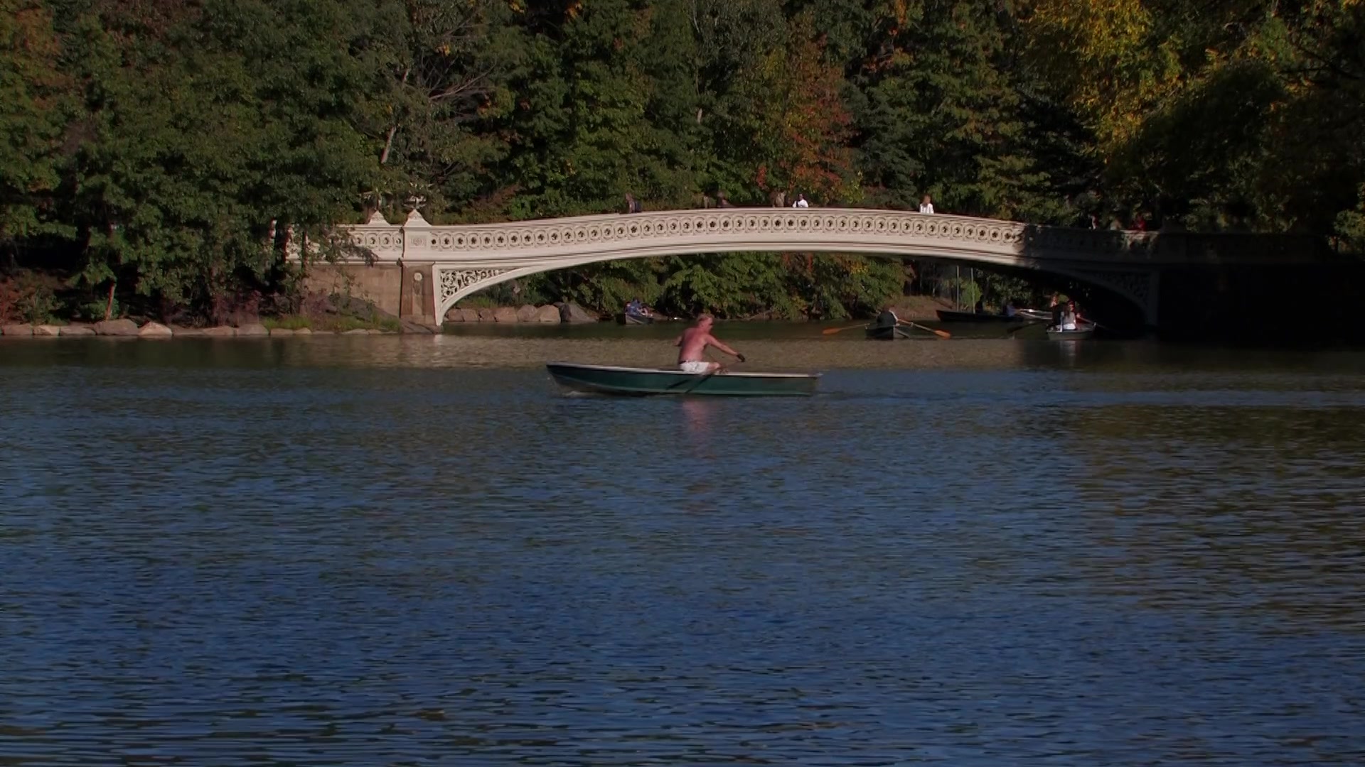 Central Park in New York City