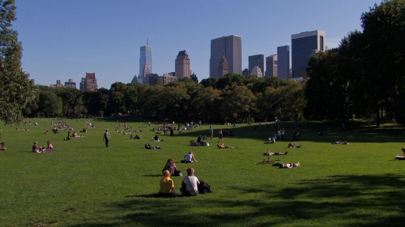 Central Park in New York City — Flags of the World at the United NationsKeywords: Stock Footage, USA, United States, New York City