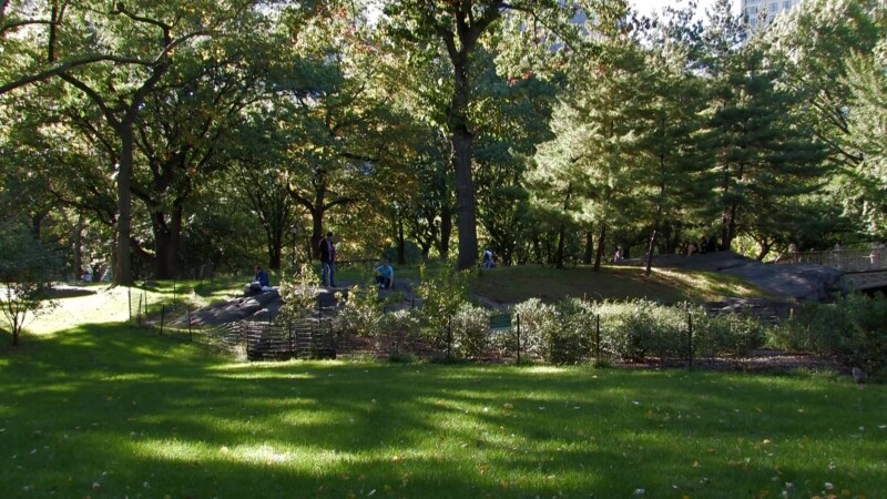 Central Park in New York City — Flags of the World at the United NationsKeywords: Stock Footage, USA, United States, New York City
