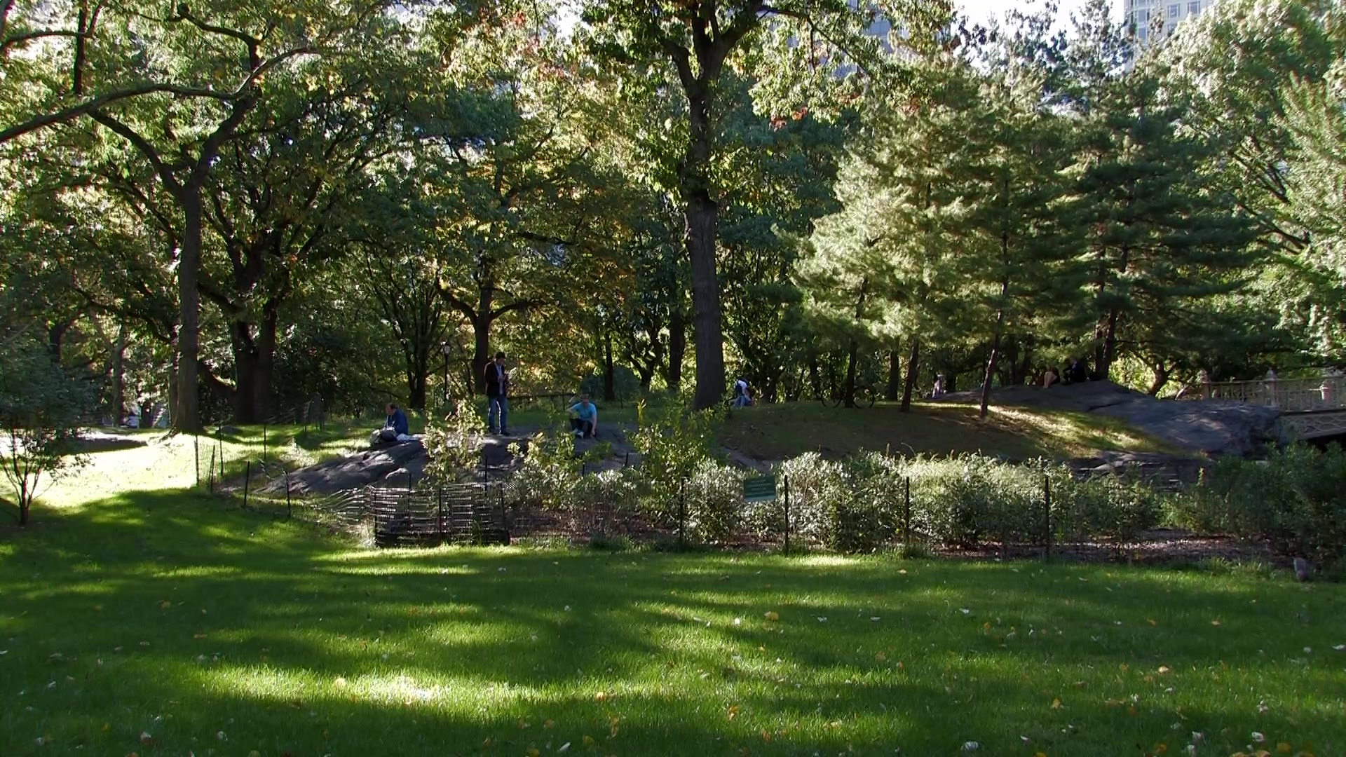 Central Park in New York City