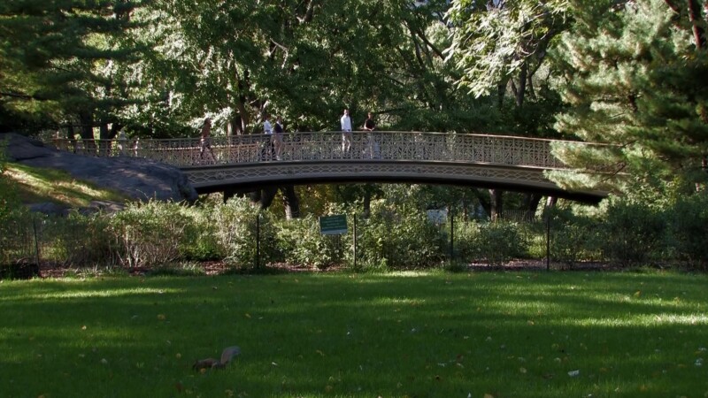 Central Park in New York City — Flags of the World at the United NationsKeywords: Stock Footage, USA, United States, New York City