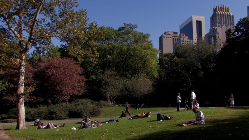 Central Park in New York City — Flags of the World at the United NationsKeywords: Stock Footage, USA, United States, New York City