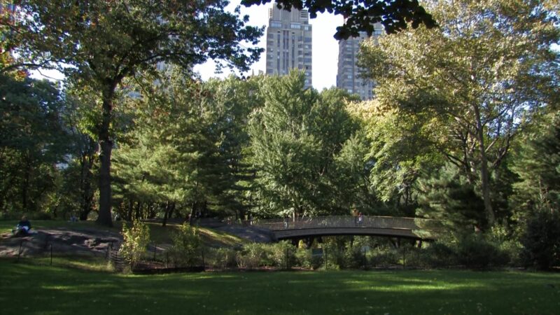 Central Park