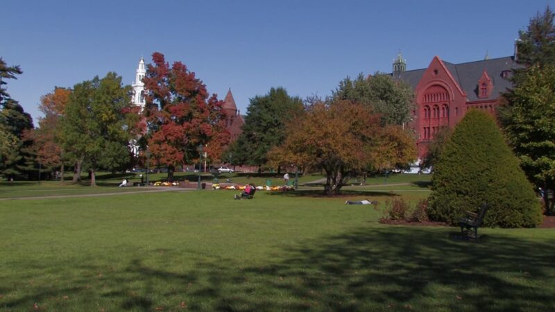 Vermont State University