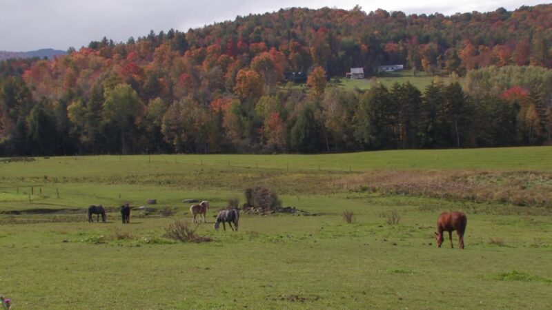 Farm in Vermont