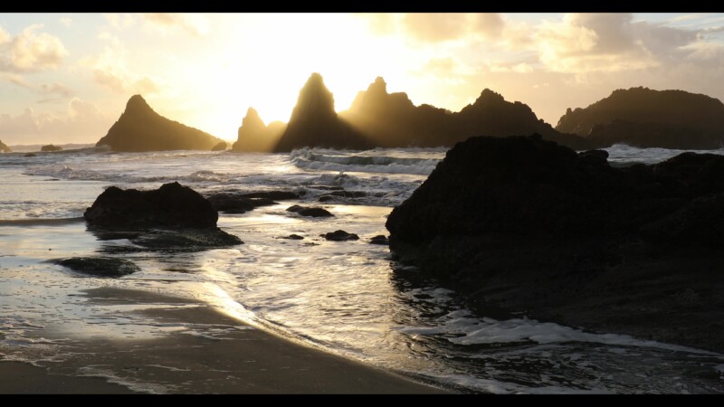 Sunset on an Oregon Beach — Sunset at Seal Rock Beach with golden reflections on the wet sand. — United States, Scenic, Oregon, Coast, beach