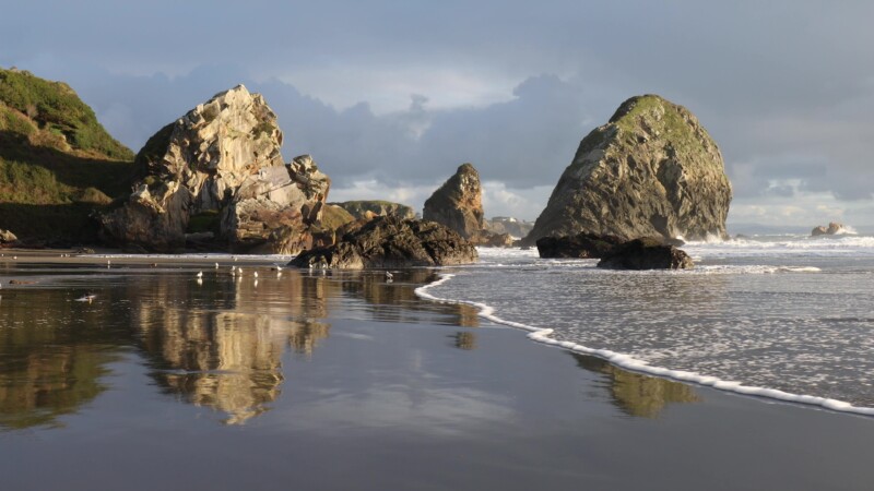 Harris Beach in Oregon — Harris Beach State Park as a soft wave rolls into the shoreline in the evening light. — United States, Scenic, Oregon, Coast, beach