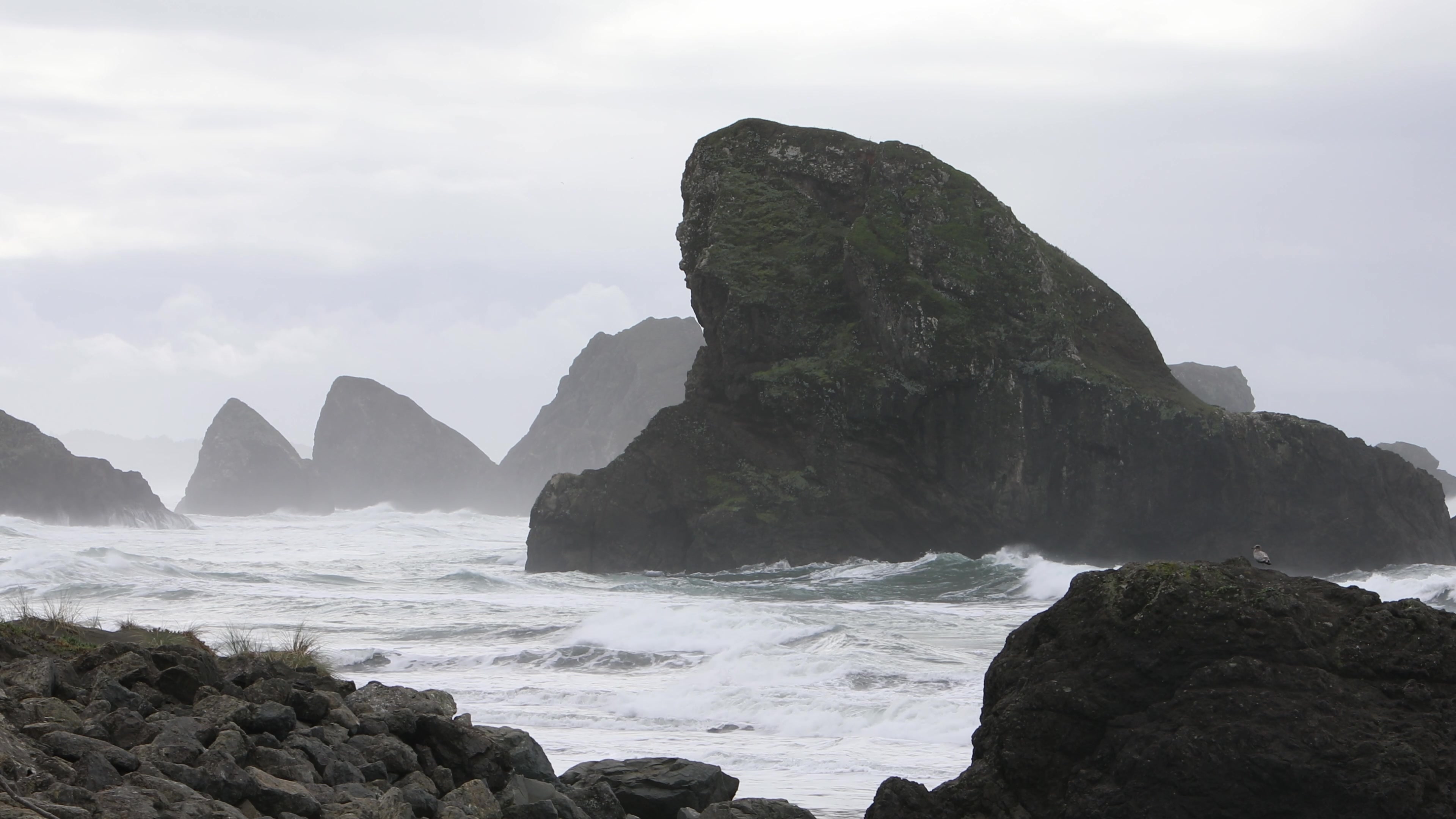 Rugged Coast