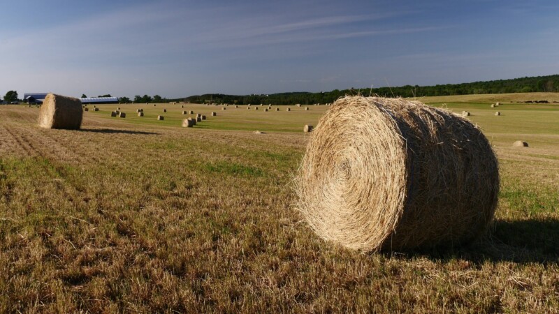 Hay Bale in A Field