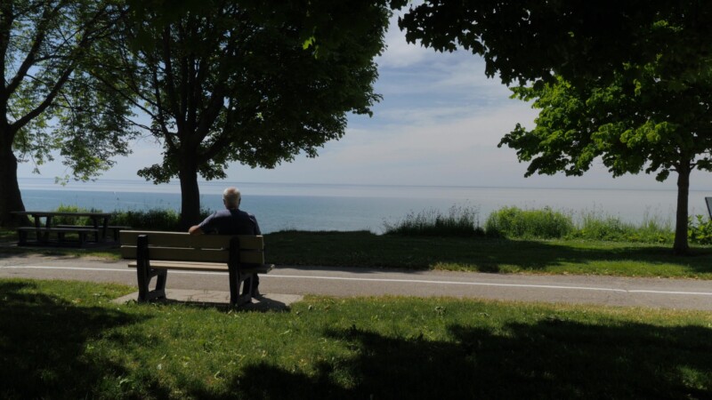 At the Park — Looking out over Lake Ontario on a Beautiful DayKeywords: Canada, Scenic, Ontario