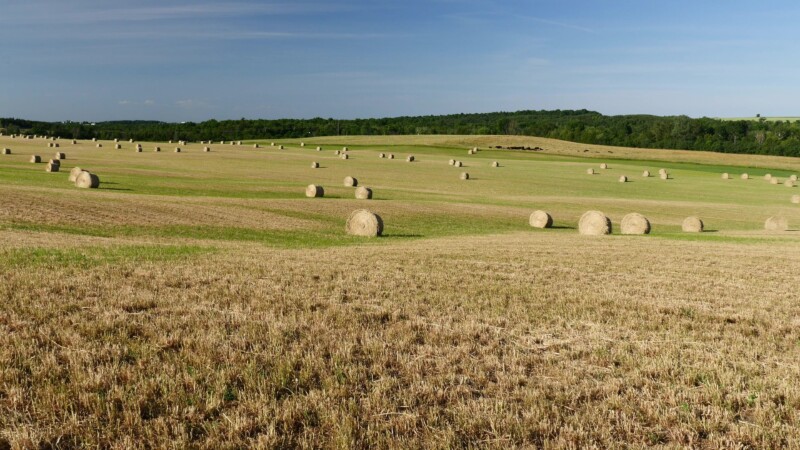 Hayfield in Canada — Lage hay bales dot a field in Ontario, CanadaKeywords: Canada, Scenic, Ontario