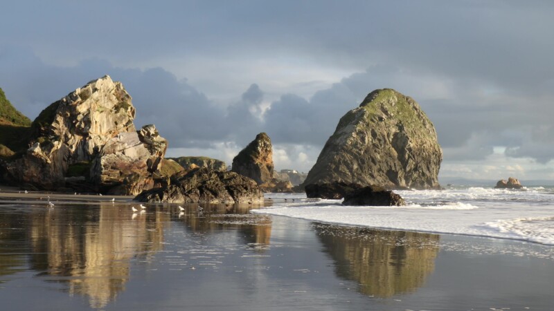 Harris Beach in Oregon — Harris Beach State Park as a soft wave rolls into the shoreline in the evening light. — United States, Scenic, Oregon, Coast, beach