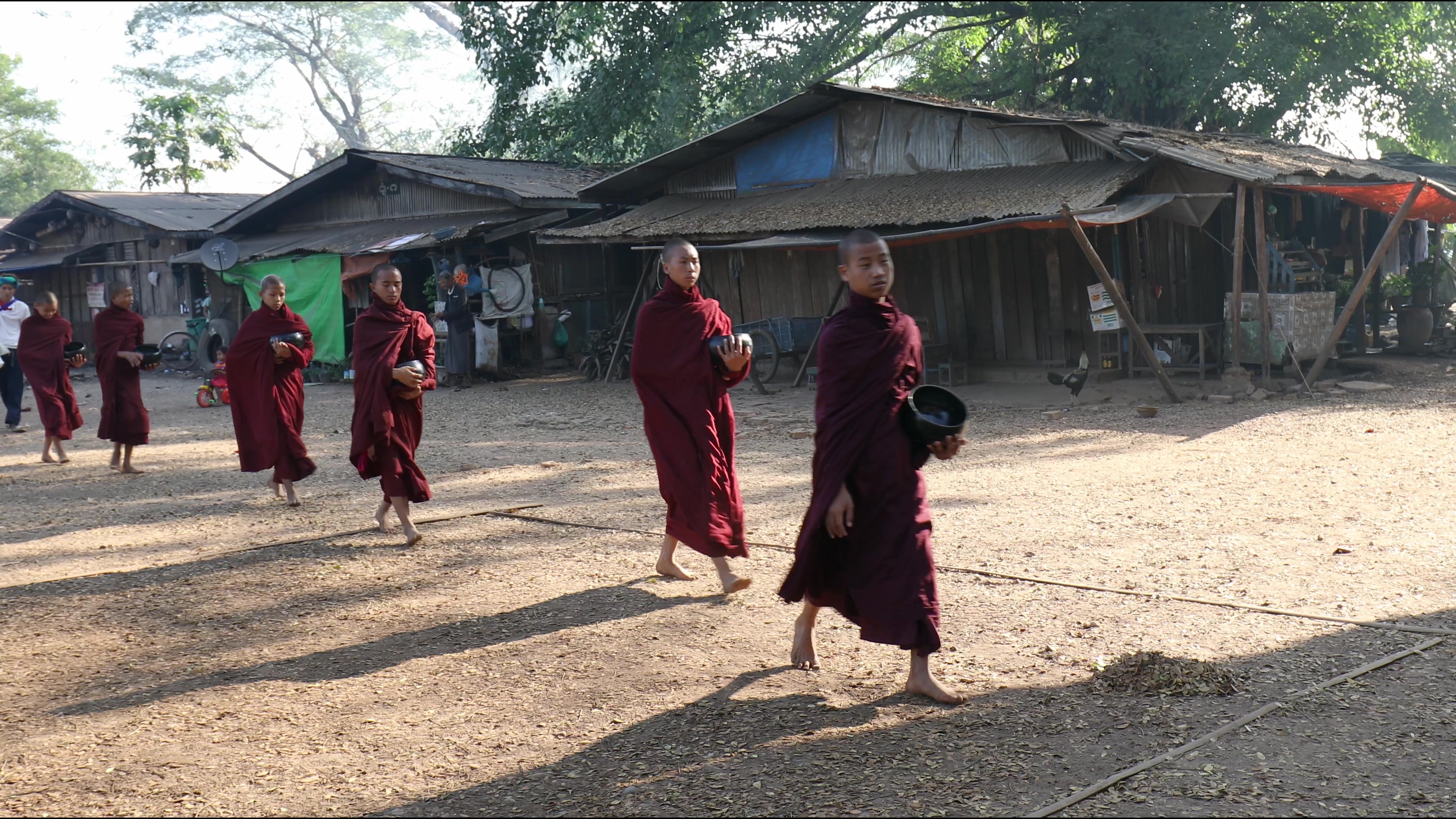 Boy Monks