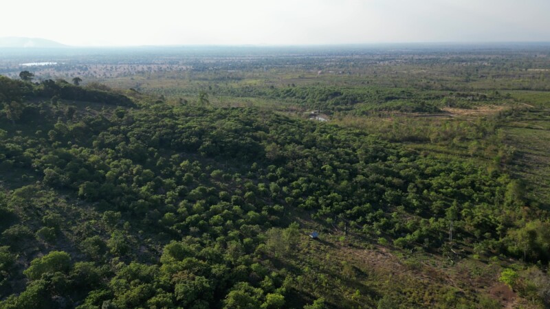 Cambodia Cashews — Drone flys over a cahsew plantation in CambodiaKeywords: Drone, Flyover, Cambodia, Cashew plantations, trees