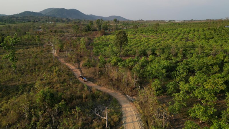 Going Home — Drone follows a farm wagon of day pickers returning home from picking cashewsKeywords: Drone, Flyover, Cambodia, cashews, road, trees