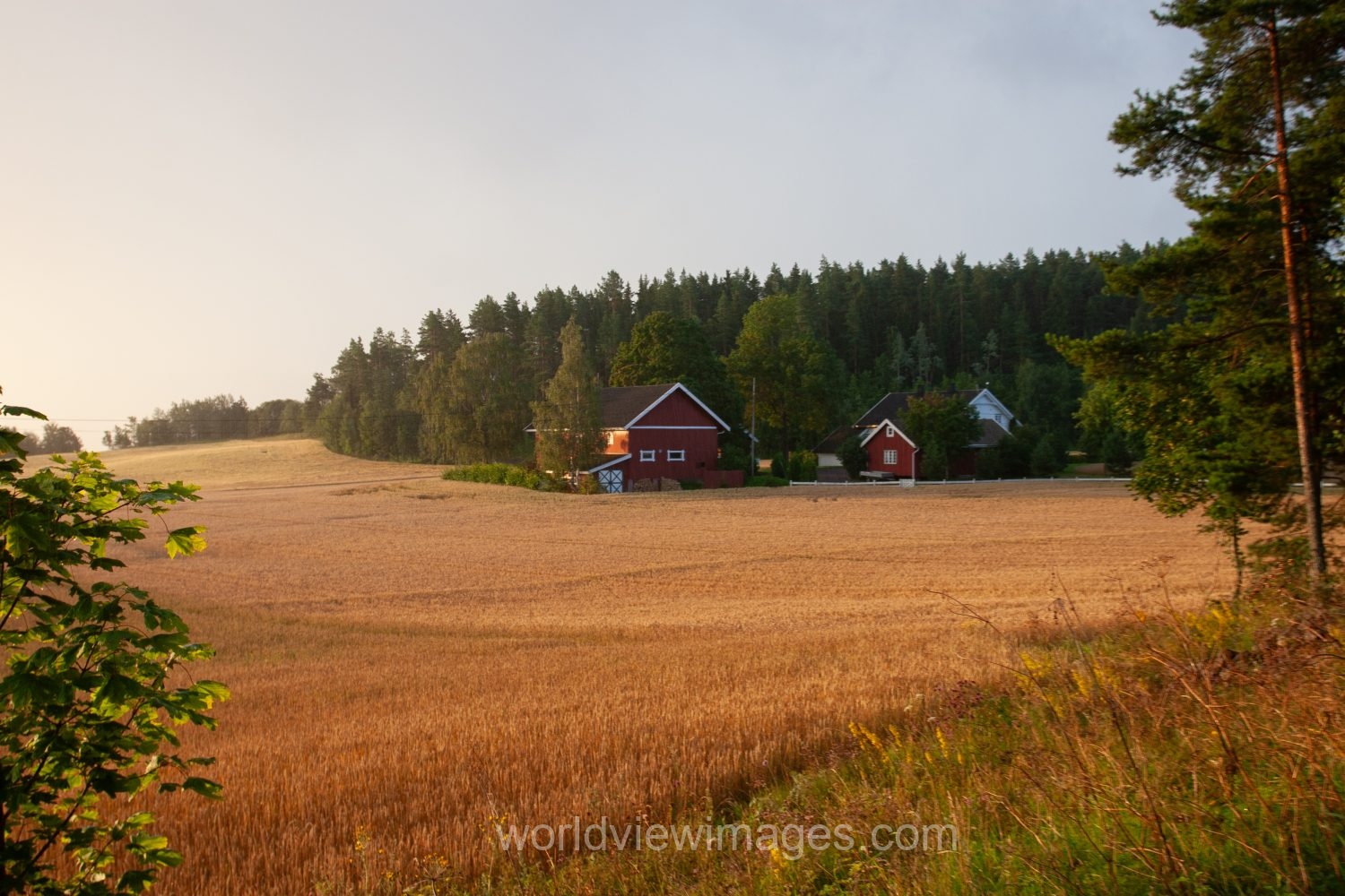 Farm in Norway