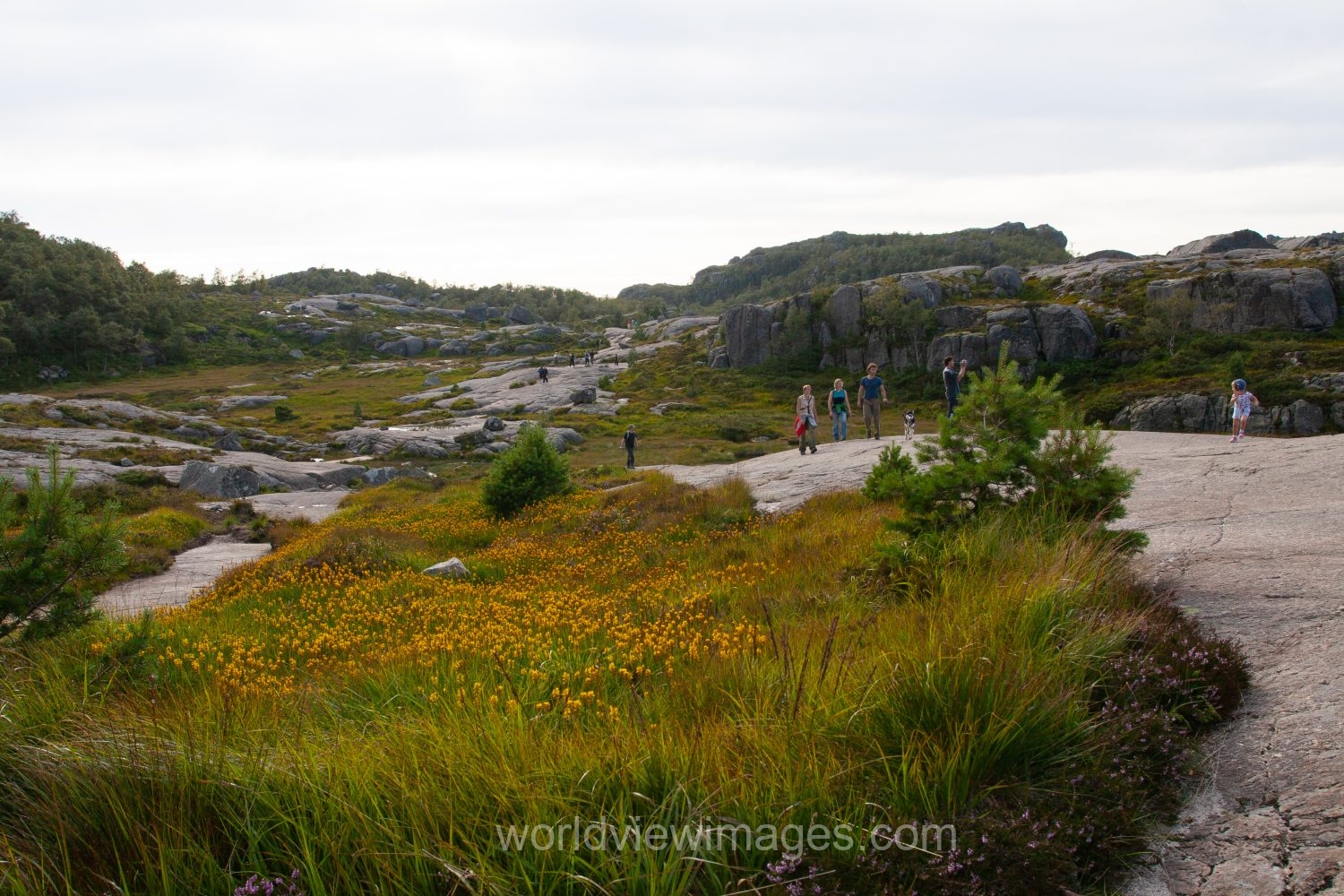 People hiking up to Pulpit Rock